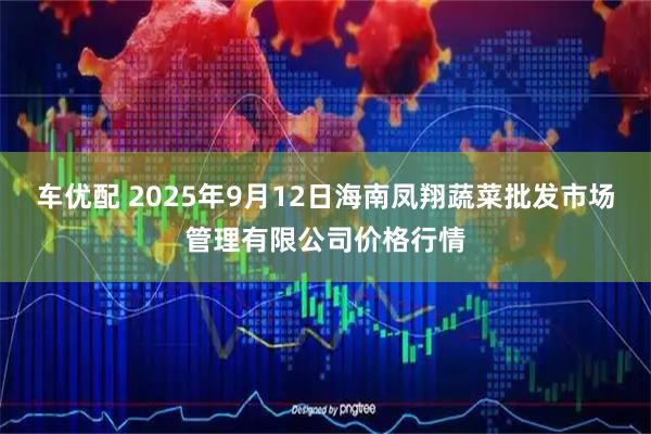 车优配 2025年9月12日海南凤翔蔬菜批发市场管理有限公司价格行情