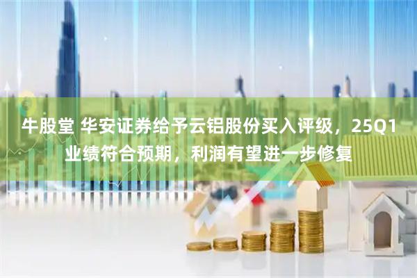 牛股堂 华安证券给予云铝股份买入评级，25Q1业绩符合预期，利润有望进一步修复