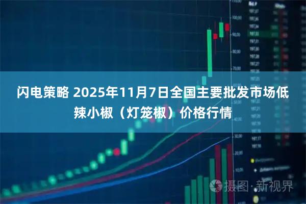 闪电策略 2025年11月7日全国主要批发市场低辣小椒（灯笼椒）价格行情